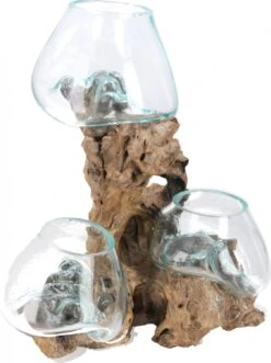 Exotische Wurzelholz Vase Mit Drei Gläsern - 3 *Ø Glas Bis 10 Cm 5 Exotische Wurzelholz Vase Mit Drei Gläsern - 3 *Ø Glas Bis 10 Cm -Deko Haus Store 15 05 20 wurzelholzvasen 7