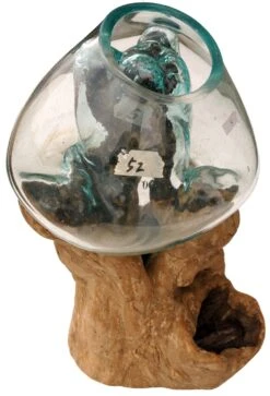 Wurzelholz Vase - Ø Glas Bis 30 Cm M2 -Deko Haus Store 2 14dsc00419