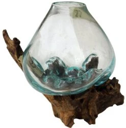 Wurzelholz Vase - Ø Glas Bis 30 Cm M2 -Deko Haus Store 2 14dsc00422 1