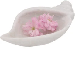 Dekoschale Aus Marmor In Mangoform - 6x23x12 Cm