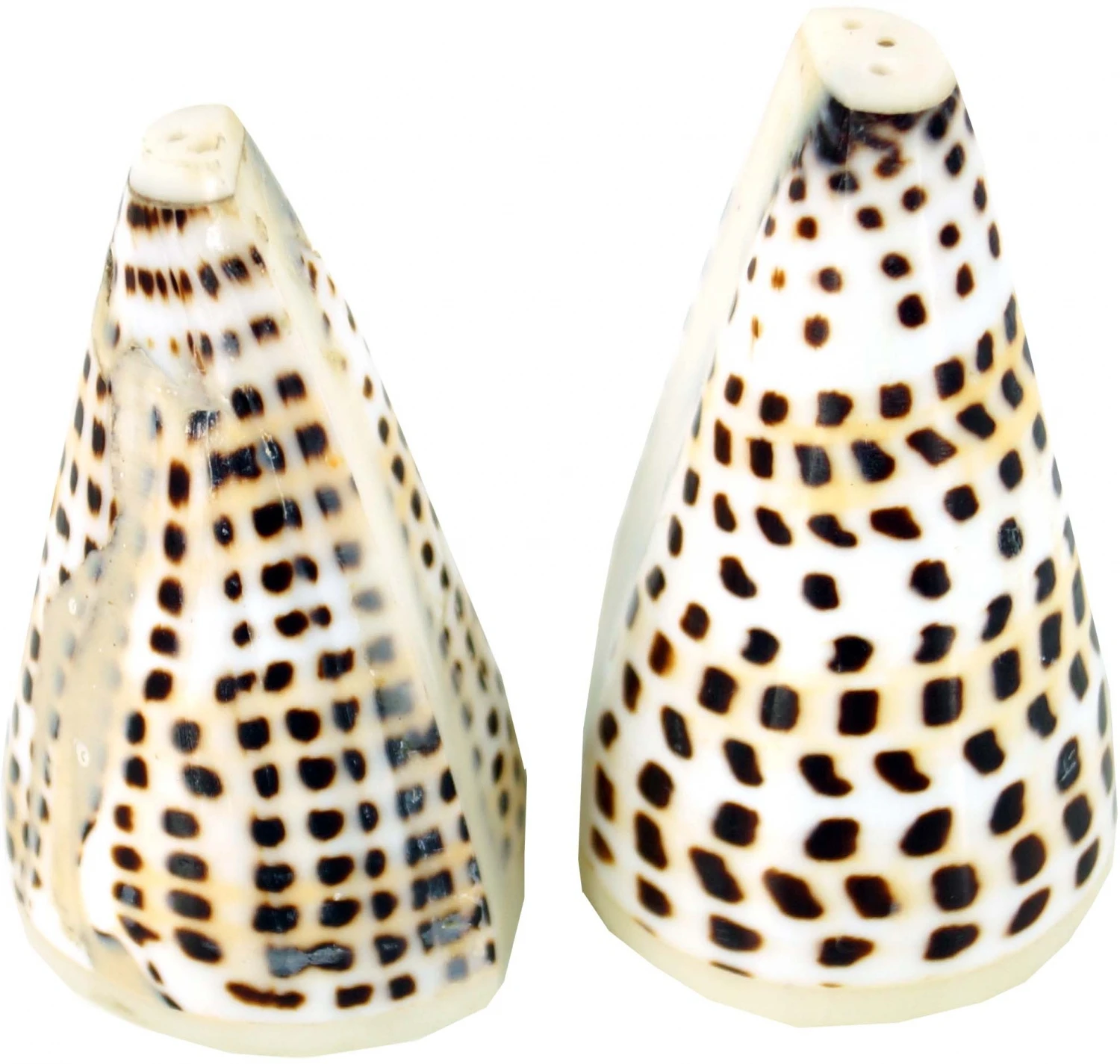 Pfeffer- Und Salzstreur Mare - 8x6x5 Cm 1 Pfeffer- Und Salzstreur Mare - 8x6x5 Cm