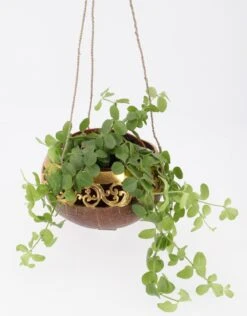 Kokosnuss Teelicht Zum Hängen, Dekotopf - Modell 4 - 10x15x15 Cm Ø15 Cm -Deko Haus Store f 19 08 schmuck 60