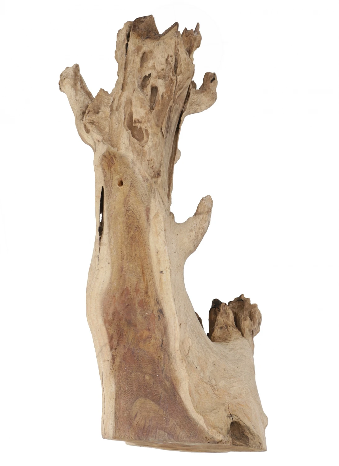 Wandvase, Wurzelholz Vase, Exotische Vase Für Die Wand - Glas 20*20 Cm M9 3 Wandvase, Wurzelholz Vase, Exotische Vase Für Die Wand - Glas 20*20 Cm M9 – Bild 3