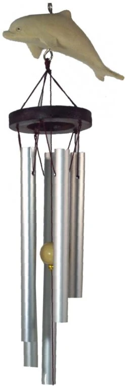 Klangspiel Mit Delphin