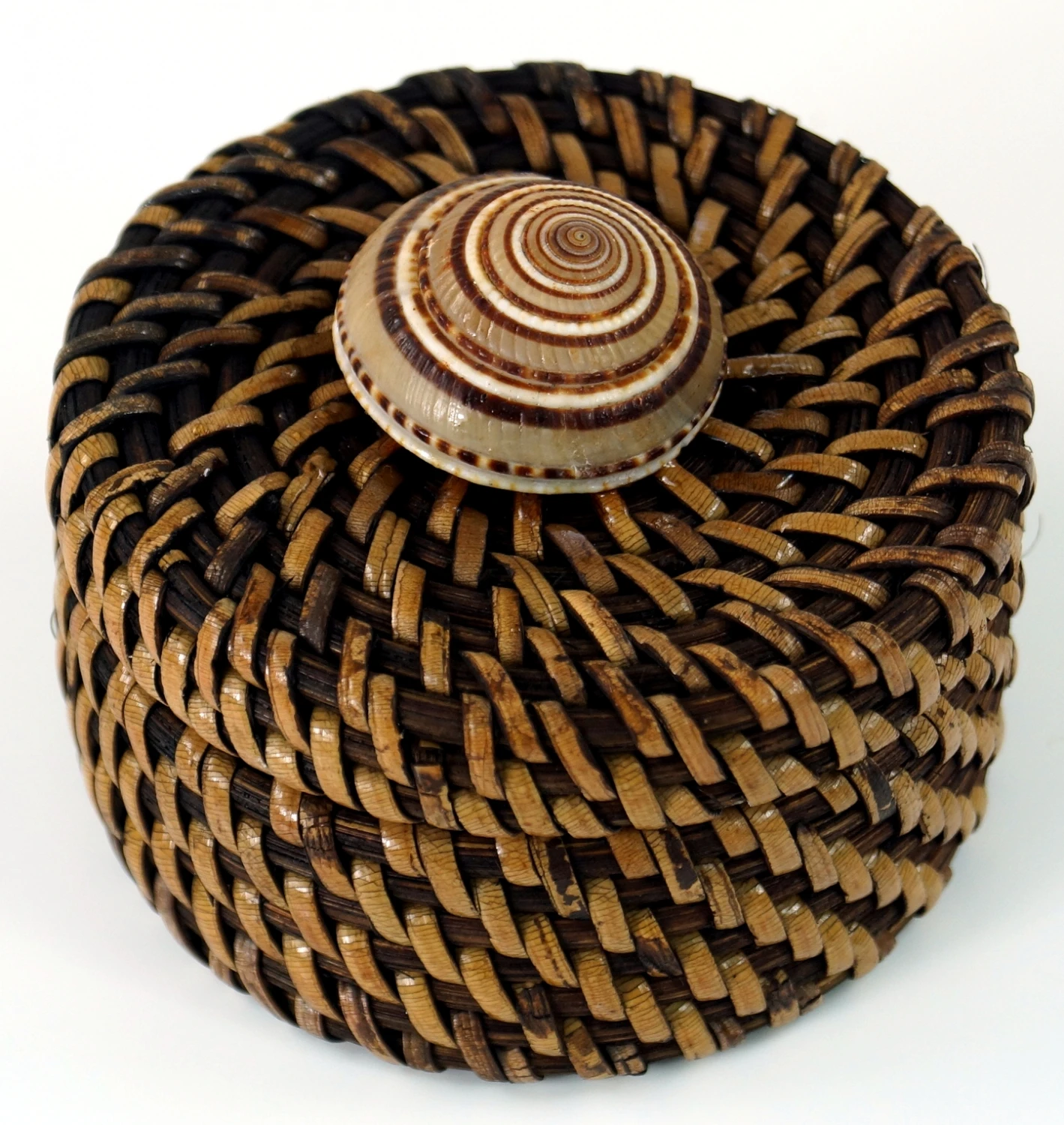 Exotische Bastdose, Schatulle, Schmuck Schachtel - Schnecke - 4x7x7 Cm 5 Exotische Bastdose, Schatulle, Schmuck Schachtel - Schnecke - 4x7x7 Cm – Bild 5