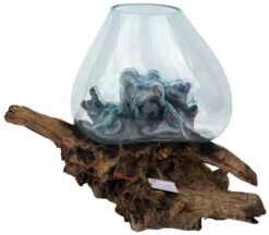 Wurzelholz Vase - Ø Glas Bis 50 Cm M3